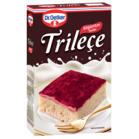 DR.OETKER TRILECE 315 GR BOGURTLEN SOSLU