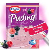 DR.OETKER PUDING 81 GR ORMAN MEYVELI